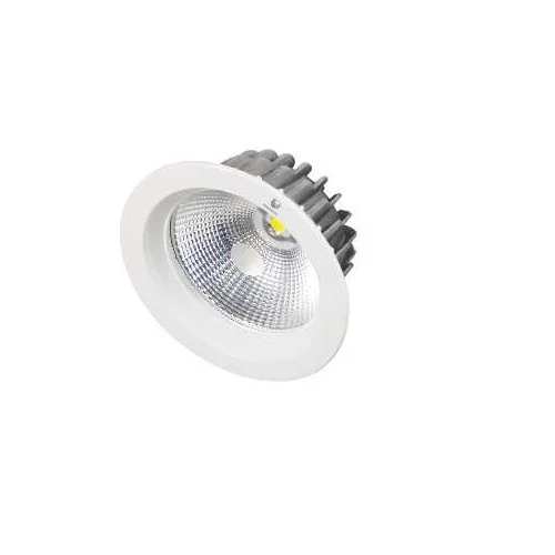 10 Watt Aise COB RDL